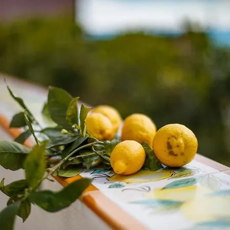 Il Sogno Di Positano *