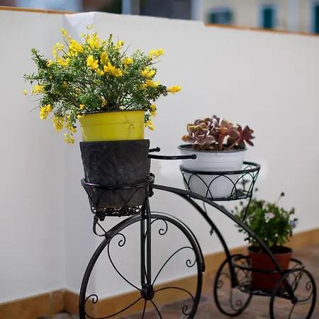 Il Sogno Di Positano Holiday home Amalfi